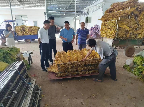 图1.jpg